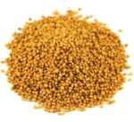 Semilla de Mostaza en Grano (1Kg)