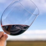 Dv Catena Cabernet – Cabernet 750ml - Imagen 2