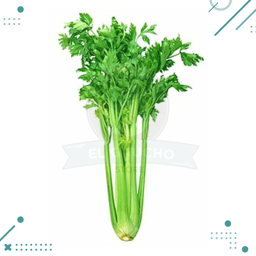 Diseno-sin-titulo-2023-08-22T192025.475.png Semillas Apio (30 semillas aprox) - Imagen 1