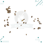 Semillas Apio (30 semillas aprox) - Imagen 2