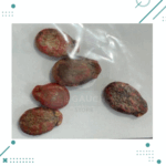 Semillas Sandia Sugar Baby (5 semillas aprox) - Imagen 2