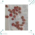 Semillas Tomate Perita (20semillas aprox) - Imagen 2