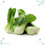 Semillas Pack Choi Verde (15 semillas aprox)