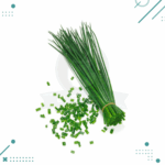 Semilla Ciboulette (10 semillas aprox)