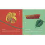 Libro Nativas Flores Argentinas - Imagen 2