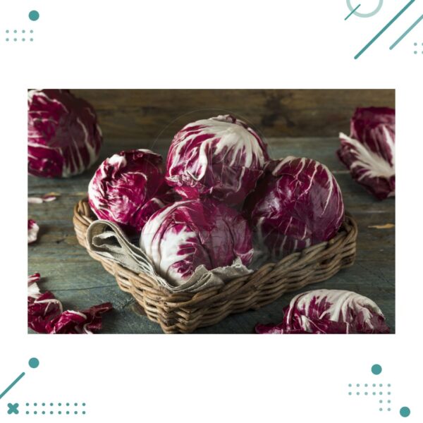 Semilla Radicchio, Achicoria Palla Roja (10 semillas aprox)