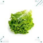 Semillas Lechuga Criolla (50 semillas aprox)