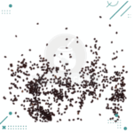 Semillas Oregano (20 semillas aprox) - Imagen 2