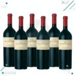 Vino Angelica Zapata Malbec Alta 750ml (Pack x6 botellas)