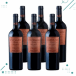 Vino PRIVADO Malbec 750ml (Pack x6 botellas)