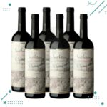 Vino Saint Felicien Cabernet Sauvignon 750ml (Pack x6 botellas)
