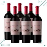 Vino Bressia Ultima Hoja (750ml) (Pack x6 botellas)