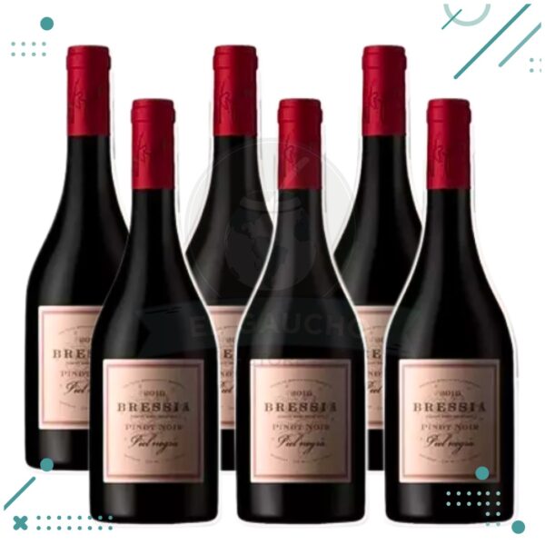 Vino Bressia, Piel Negra 750ml (Pack x6 botellas)
