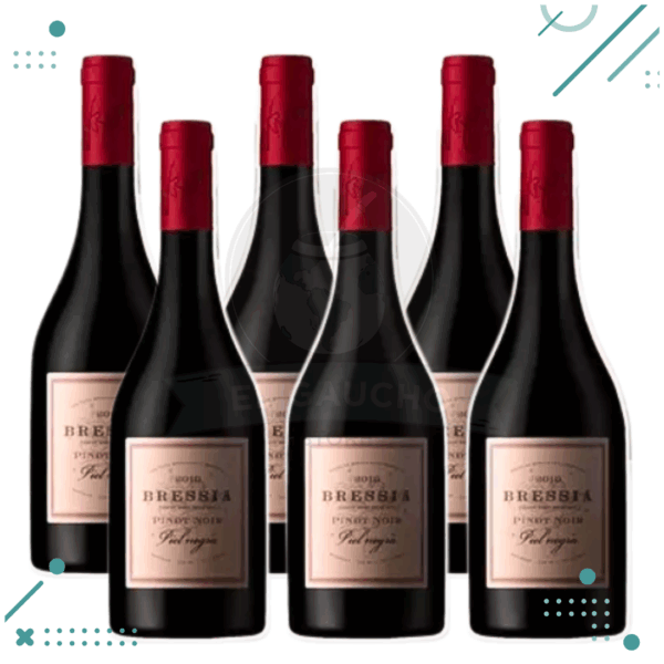 Vino Bressia, Piel Negra 750ml (Pack x6 botellas)