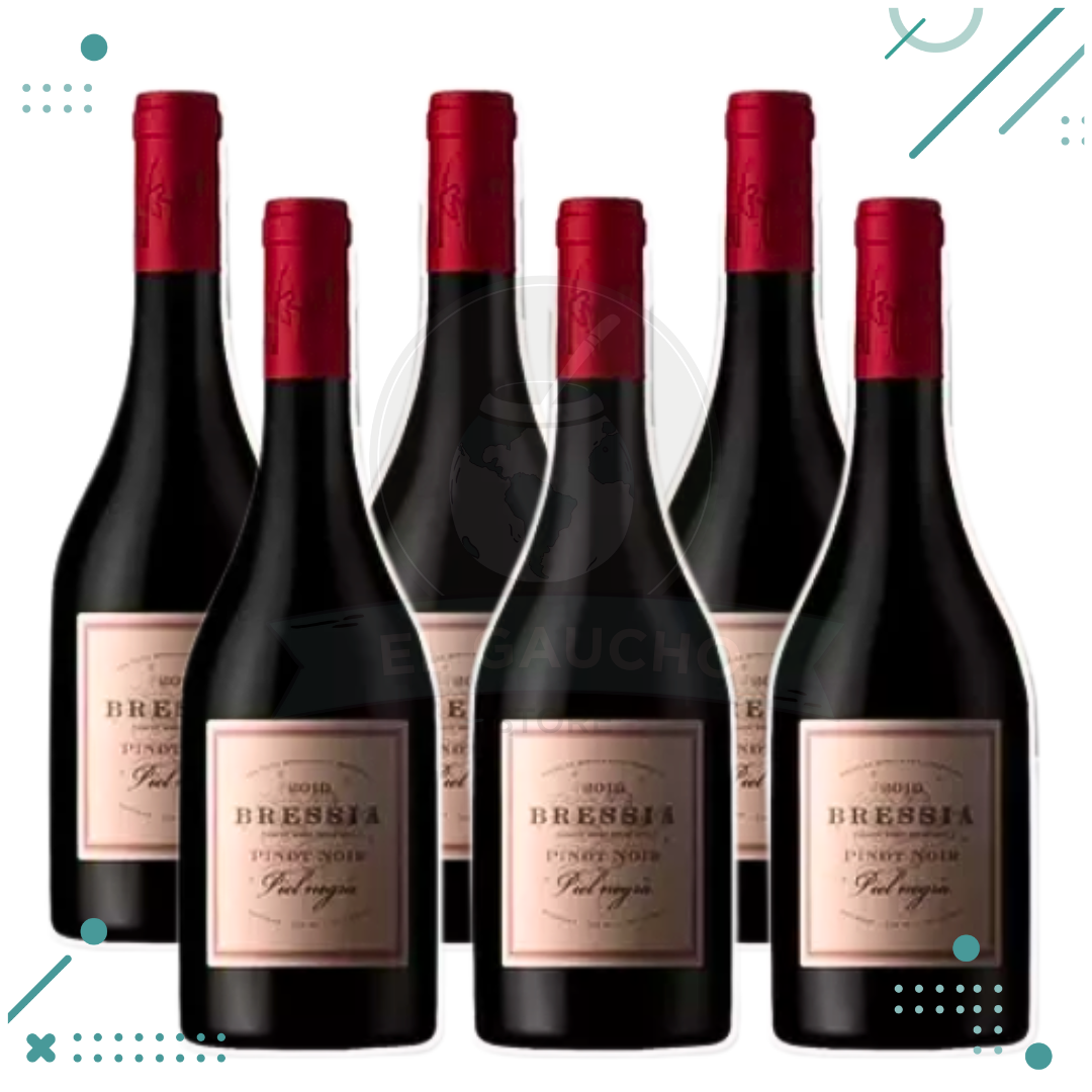 vino-31.png Vino Bressia, Piel Negra 750ml (Pack x6 botellas) - Imagen 1