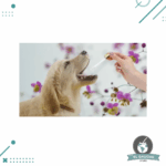 Consulta de Flores de Bach, para Mascotas - Imagen 2