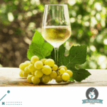 Vino Angelica Zapata Chardonnay Alta 750ml - Imagen 2