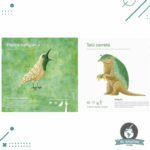 Libro Animales Argentinos - Imagen 3