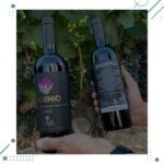 Vino Ingenio Malbec 750ml x 4 Unidades + CAJA MADERA Regalo - Imagen 3