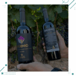 Vino Ingenio Malbec 750ml x 4 Unidades + CAJA MADERA Regalo - Imagen 3