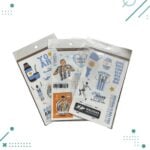 Plancha Variedad De stickers (Campeones del Mundo, Argentina) - Imagen 2
