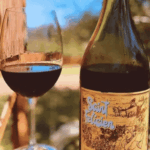 Vino Saint Felicien Bonarda 750ml - Imagen 3
