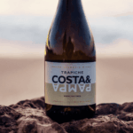 Vino Trapiche Costa y Pampa Albariños 750ml - Imagen 2